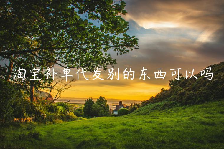 淘寶補(bǔ)單代發(fā)別的東西可以嗎